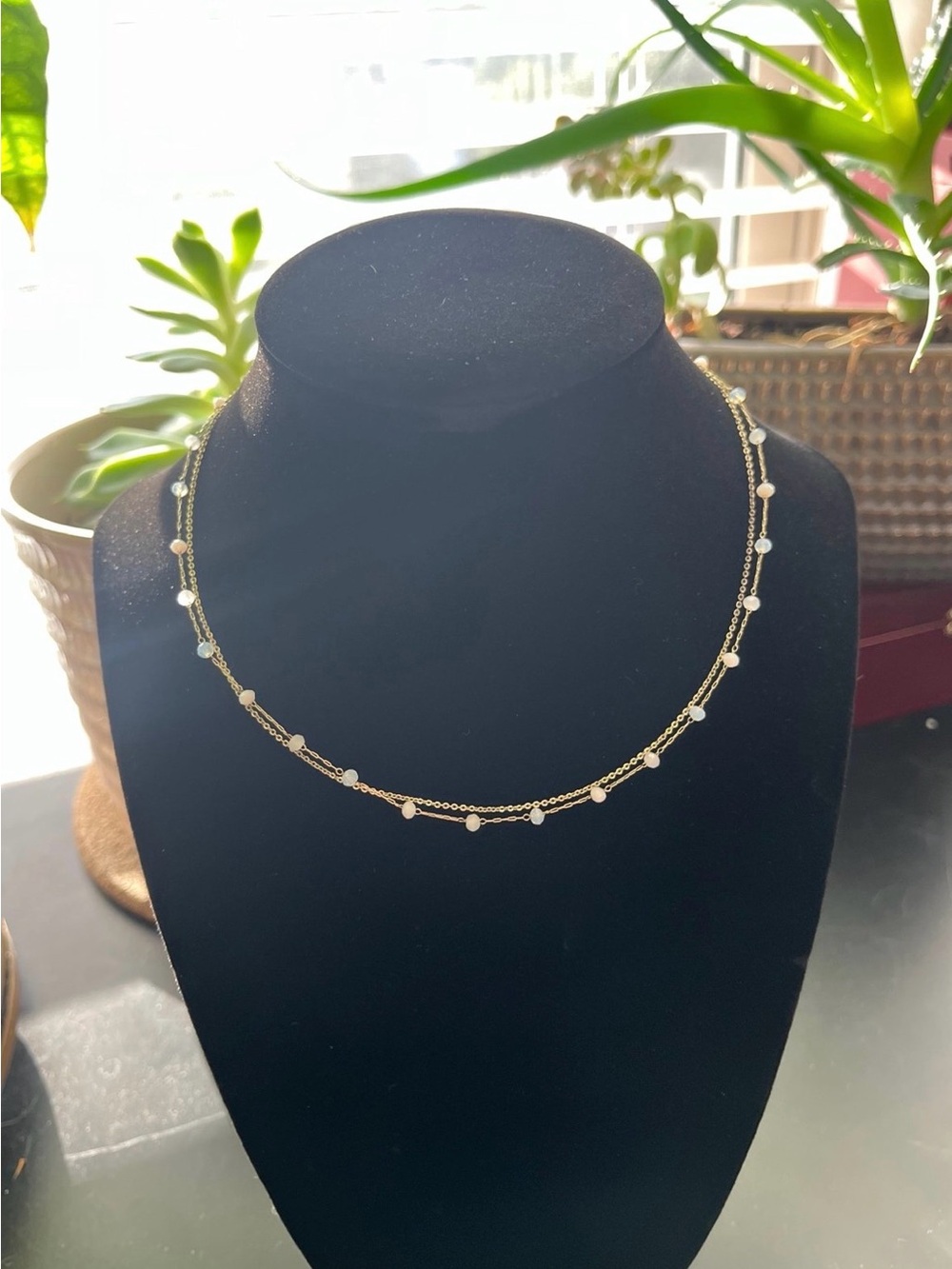Francesca's Collections Gold Layered Beaded Necklace